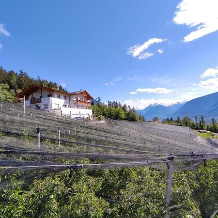 Pruensterhof Schenna Apartment Екстериор снимка