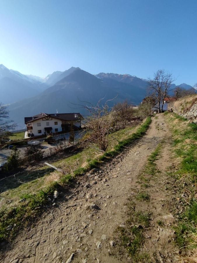 Pruensterhof Schenna Apartment Екстериор снимка
