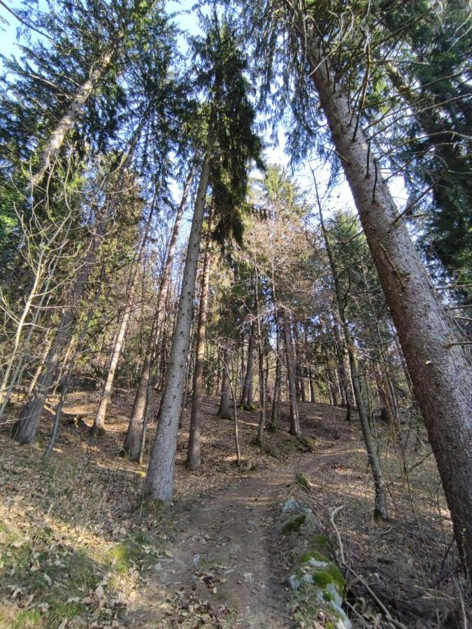 Pruensterhof Schenna Apartment Екстериор снимка