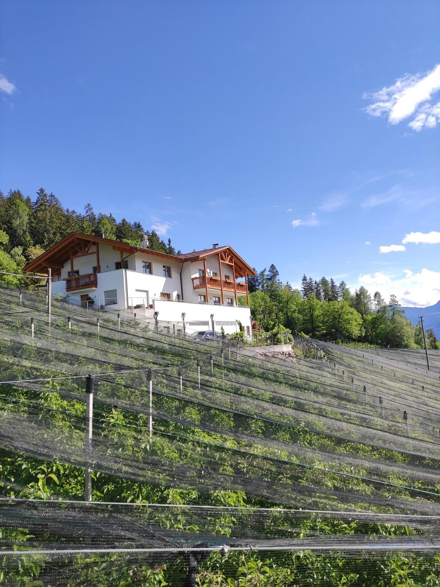 Pruensterhof Schenna Apartment Екстериор снимка
